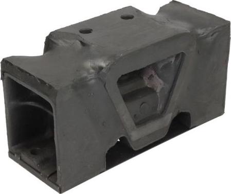 REINHOCH RH58-9003 - Подушка, підвіска двигуна autozip.com.ua