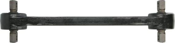 REINHOCH RH53-2021 - Важіль незалежної підвіски колеса autozip.com.ua