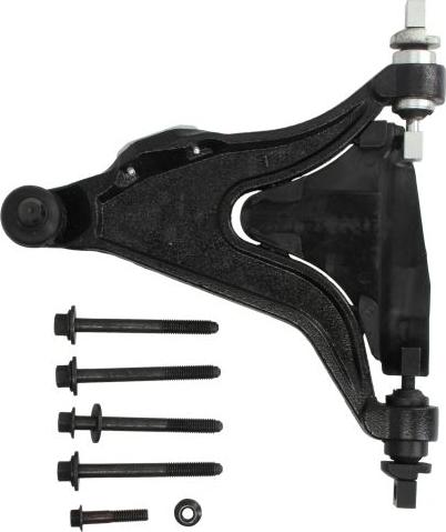 REINHOCH RH04-4019 - Важіль незалежної підвіски колеса autozip.com.ua
