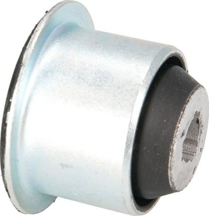 REINHOCH RH14-2003 - Сайлентблок, важіль підвіски колеса autozip.com.ua