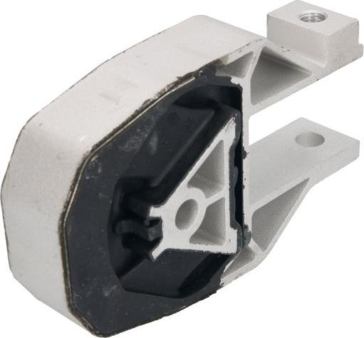 REINHOCH RH11-4038 - Подушка, підвіска двигуна autozip.com.ua