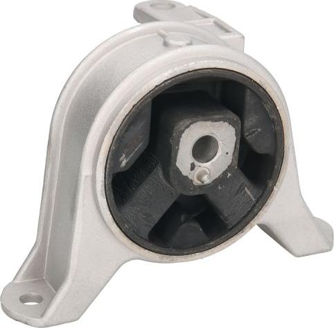 REINHOCH RH11-5030 - Подушка, підвіска двигуна autozip.com.ua