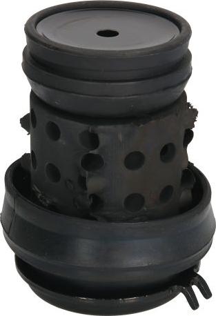 REINHOCH RH11-0014 - Подушка, підвіска двигуна autozip.com.ua