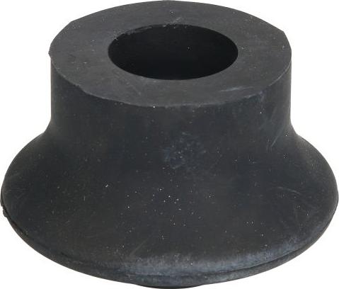 REINHOCH RH11-0015 - Подушка, підвіска двигуна autozip.com.ua