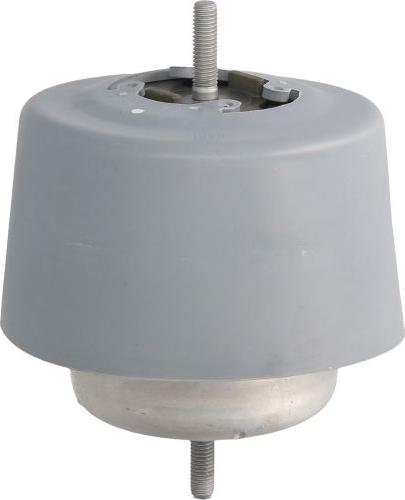 REINHOCH RH11-0037 - Подушка, підвіска двигуна autozip.com.ua