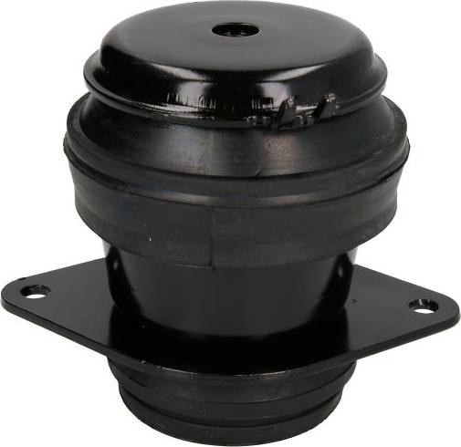 REINHOCH RH11-0020 - Подушка, підвіска двигуна autozip.com.ua