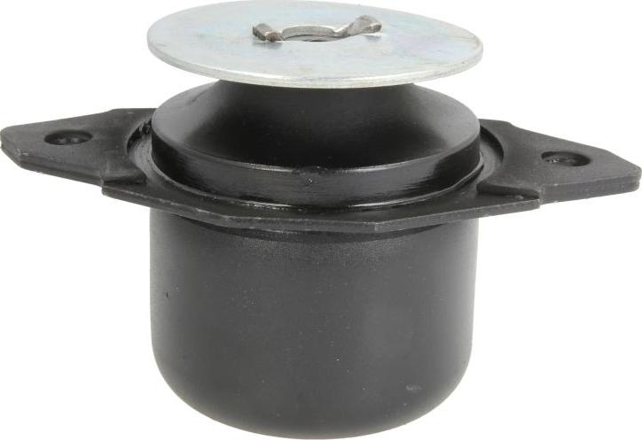 REINHOCH RH11-0108 - Подушка, підвіска двигуна autozip.com.ua