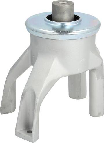REINHOCH RH11-0125 - Подушка, підвіска двигуна autozip.com.ua