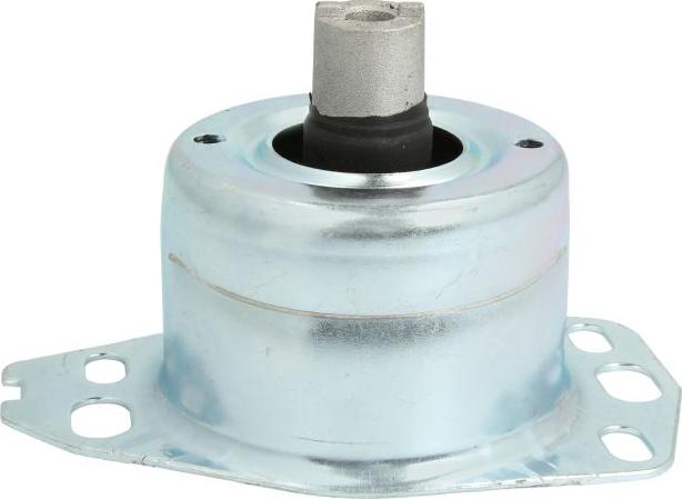 REINHOCH RH11-1029 - Підвіска, ступінчаста коробка передач autozip.com.ua