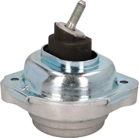 REINHOCH RH11-3069 - Подушка, підвіска двигуна autozip.com.ua