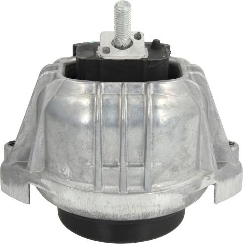 REINHOCH RH11-3038 - Подушка, підвіска двигуна autozip.com.ua