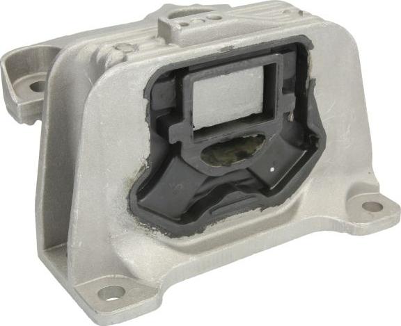 REINHOCH RH11-2065 - Подушка, підвіска двигуна autozip.com.ua