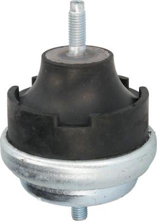 REINHOCH RH11-2002 - Подушка, підвіска двигуна autozip.com.ua