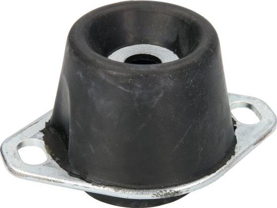 REINHOCH RH11-2153 - Подушка, підвіска двигуна autozip.com.ua
