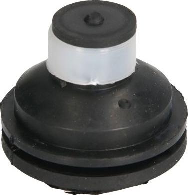 REINHOCH RH11-2109 - Подушка, підвіска двигуна autozip.com.ua