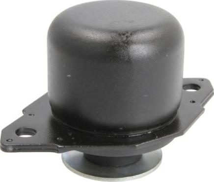 REINHOCH RH12-0007 - Подушка, підвіска двигуна autozip.com.ua