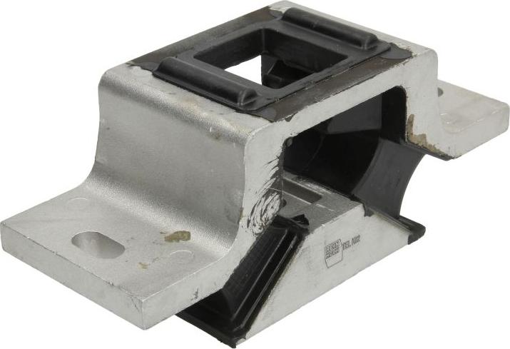 REINHOCH RH12-2003 - Подушка, підвіска двигуна autozip.com.ua