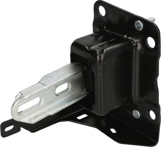 REINHOCH RH12-2007 - Подушка, підвіска двигуна autozip.com.ua