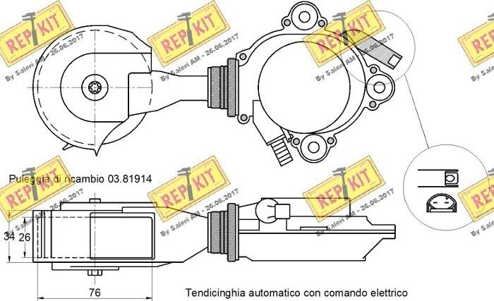 REPKIT RKT3031 - Натягувач ременя, клинові зуб. autozip.com.ua