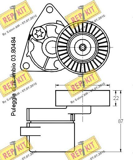 REPKIT RKT2205 - Натягувач ременя, клинові зуб. autozip.com.ua