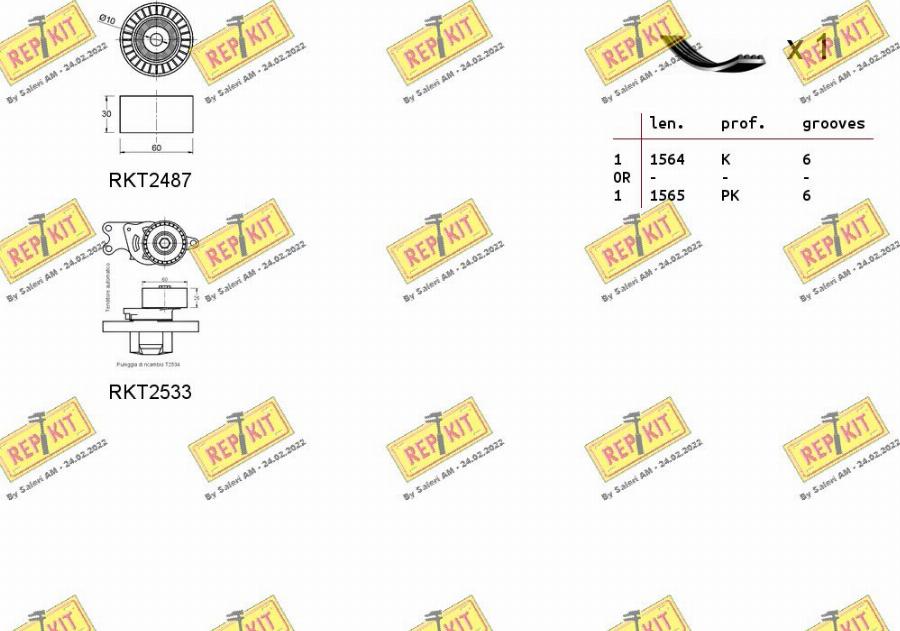 REPKIT RKTA0020 - Поликлиновий ремінний комплект autozip.com.ua