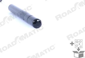 ROADMATIC 401097RM - Амортизатор autozip.com.ua