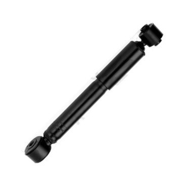 ROADMATIC 251166RM - Амортизатор autozip.com.ua
