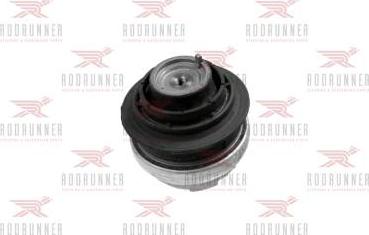 Rodrunner R0228021 - Подушка, підвіска двигуна autozip.com.ua