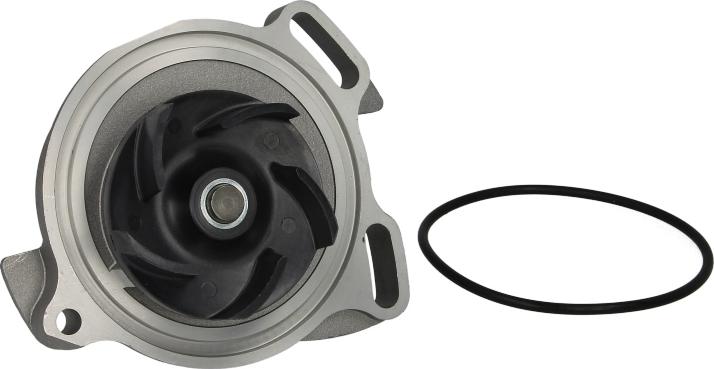 Saleri SIL PA663P - Водяний насос autozip.com.ua