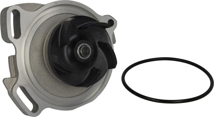 Saleri SIL PA619P - Водяний насос autozip.com.ua
