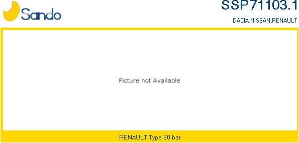 Sando SSP71103.1 - Гідравлічний насос, рульове управління, ГУР autozip.com.ua