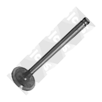 Sasic 9480550 - Впускний клапан autozip.com.ua