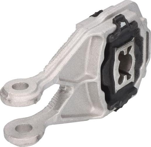 Sasic 9002424 - Подушка, підвіска двигуна autozip.com.ua