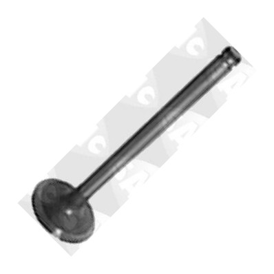 Sasic 4000953 - Випускний клапан autozip.com.ua