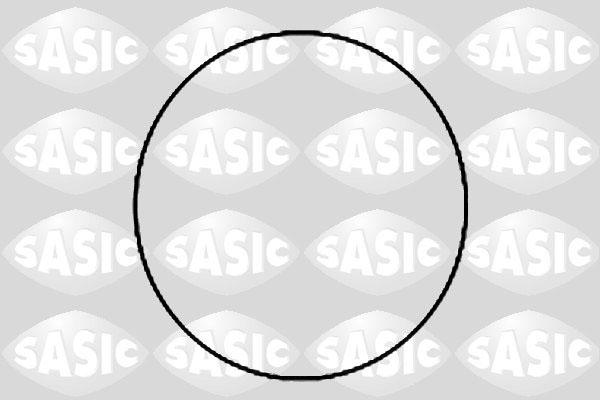Sasic 1120780 - Комплект прокладок, гільза циліндра autozip.com.ua