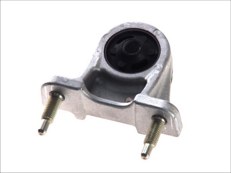 Sasic 2005262 - Подушка, підвіска двигуна autozip.com.ua