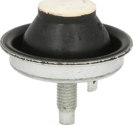 Sasic 2700003 - Подушка, підвіска двигуна autozip.com.ua