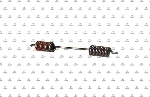 SCHNIEDER AUTOTECH BZT31.00036 - Пружина, гальмівна колодка autozip.com.ua
