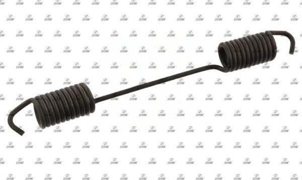 SCHNIEDER AUTOTECH BZT31.00037 - Пружина, гальмівна колодка autozip.com.ua