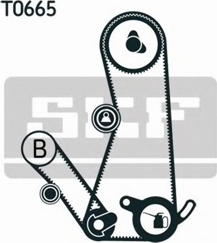 SKF VKMA95016 - Комплект ременя ГРМ autozip.com.ua