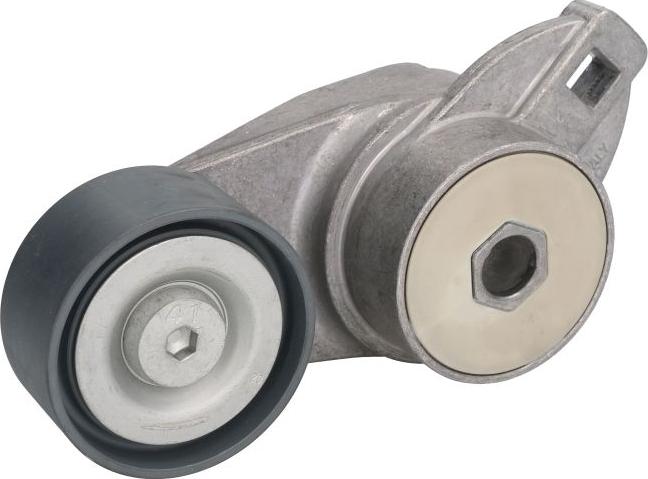 SKF VKMCV 54005 - Натягувач ременя, клинові зуб. autozip.com.ua