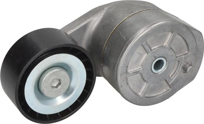 SKF VKMCV 56009 - Натягувач ременя, поліклиновий ремінь autozip.com.ua