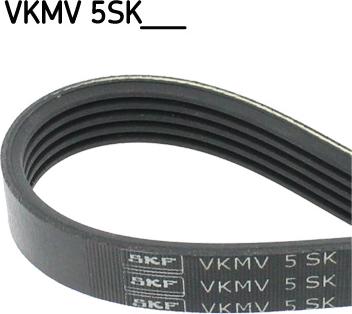 SKF VKMV 5SK628 - Поліклиновий ремінь autozip.com.ua