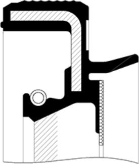 SKT 046118-FP - Ущільнене кільце, диференціал autozip.com.ua