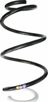 Spidan 87873 - Пружина ходової частини autozip.com.ua
