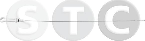 STC T439915 - Покажчик рівня масла autozip.com.ua