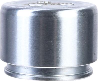 Stellox 04-98455-SX - Поршень, корпус скоби гальма autozip.com.ua
