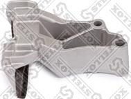 Stellox 04-81024-SX - Планка заспокоювача, ланцюг приводу autozip.com.ua