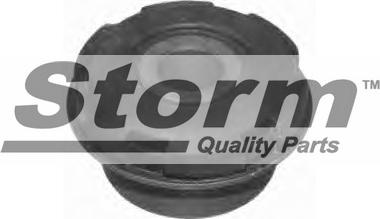 Storm F4143 - Сайлентблок, важеля підвіски колеса autozip.com.ua