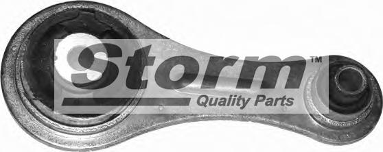 Storm F4165 - Подушка, підвіска двигуна autozip.com.ua